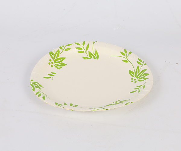 9inch plate